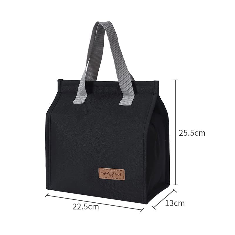 Insulated Lunch Bag Large Leakproof Reusable Cooler Box for Office Travel Unisex