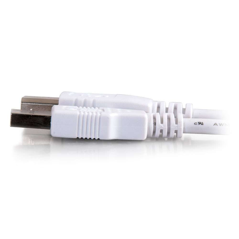 Cables To Go 13401 USB 2.0 A Male to B Male Cable 15 Feet White