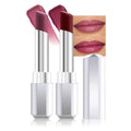 evpct 2Pcs Mauve Plum Cherry Honey Lipstick Tinted Lip Balm, Sheer Hydrating