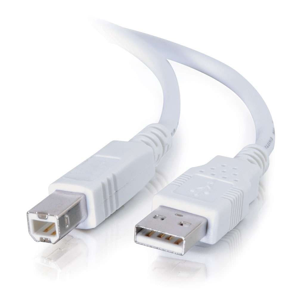 Cables To Go 13401 USB 2.0 A Male to B Male Cable 15 Feet White
