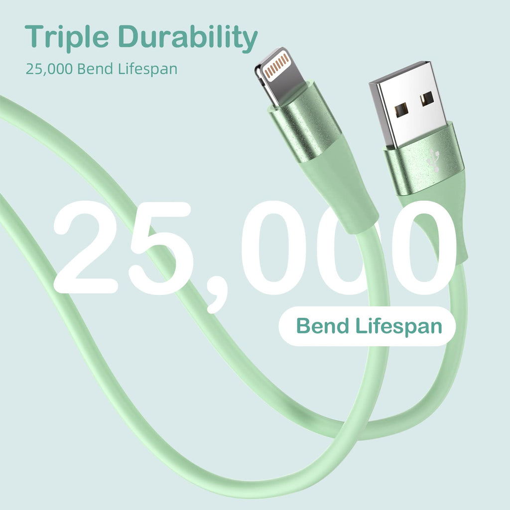 iPhone Charger [Apple MFi Certified] 3Pack 10FT Lightning Cable Fast Charging