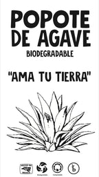 250 Pack Agave Fiber Straws Unwrapped Bio Preferred, Eco-Friendly Alternative to