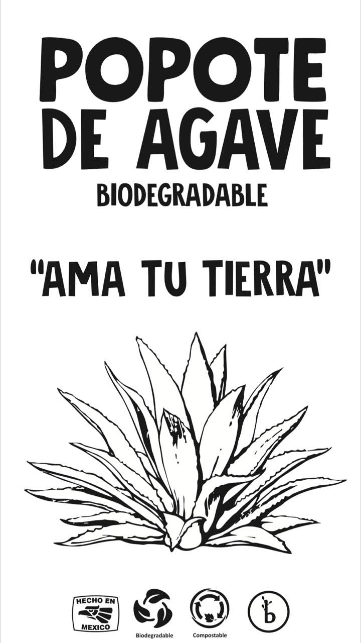 250 Pack Agave Fiber Straws Unwrapped Bio Preferred, Eco-Friendly Alternative to