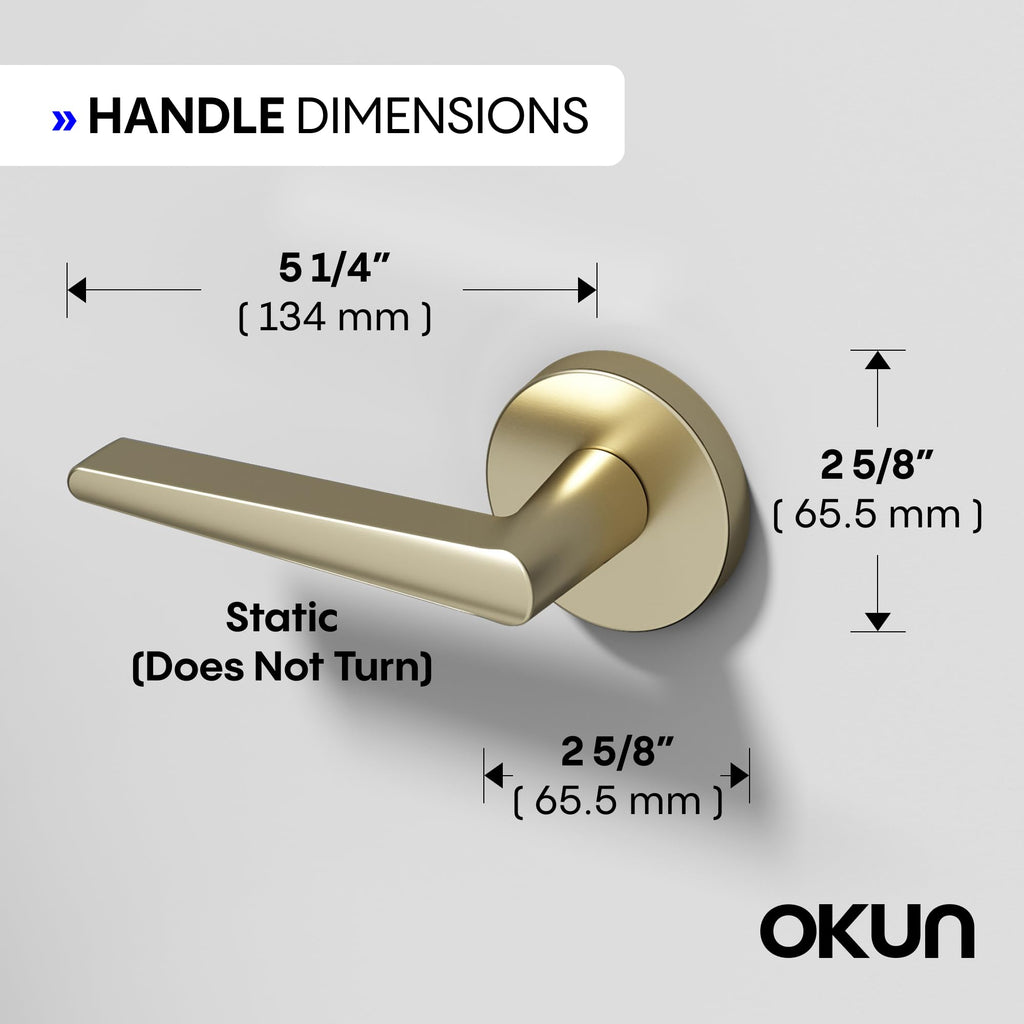 Okun Halo Dummy Door Handle, Brushed Champagne Gold Non-Turning Door Lever