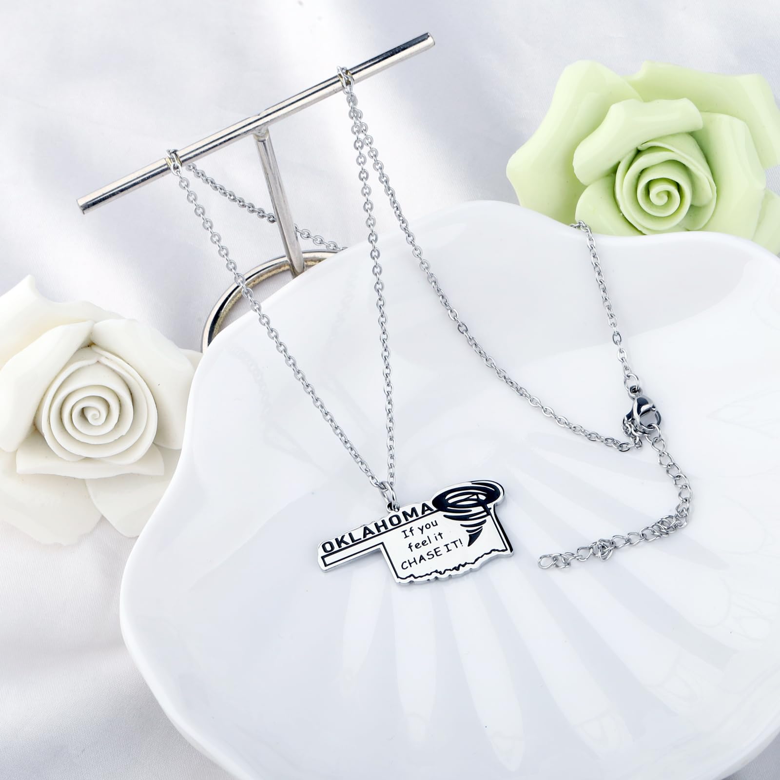 MAOFAED Funny Storm Chaser Gift Oklahoma Necklace If You Feel It Chase It Movie