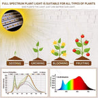 bseah Grow Light Plant Lights for Indoor Plants, Full Spectrum Plant Grow Lamp,