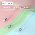 iPhone Charger [Apple MFi Certified] 3Pack 10FT Lightning Cable Fast Charging