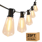 TAICORE Outdoor String Lights with ST38 Clear Globe Bulbs, Black Cord,