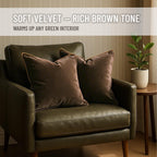 Blau Marité 2 Pack Velvet Decorative Throw Pillow Covers, 20"x20", Brown and