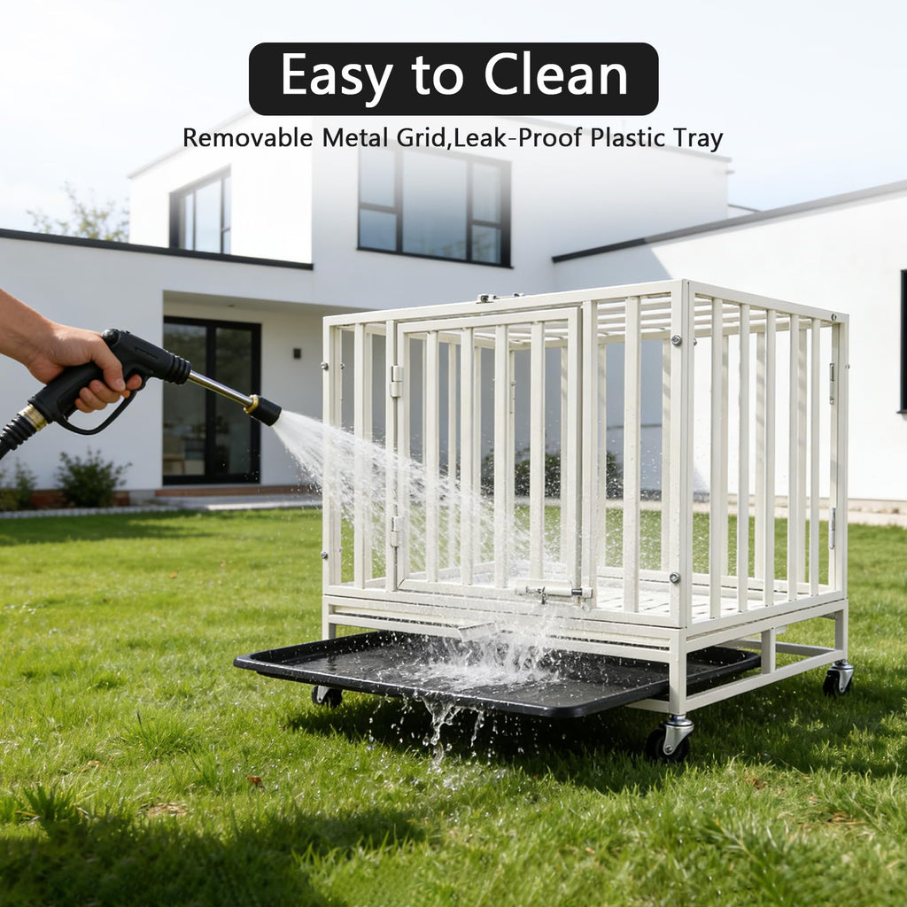 24 Inch Heavy Duty Dog Crate Cage Escape Proof Steel Kennel for High Anxiety Dogs with Sturdy Locks and Removable Tray, Small Dog Crate, White