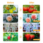 bseah Grow Light Plant Lights for Indoor Plants, Full Spectrum Plant Grow Lamp,