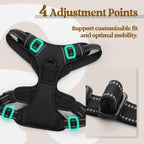 Size XS rabbitgoo Dog Harness No Pull Small Dogs 2 Leash Clips Black
