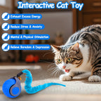 Interactive Cat Toy Ball - Speedy Cat Toys for Indoor Cats with Feather Tails