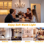 DAYBETTER E12 LED Bulb Dimmable, Chandelier Light Bulbs, Candelabra Light Bulbs