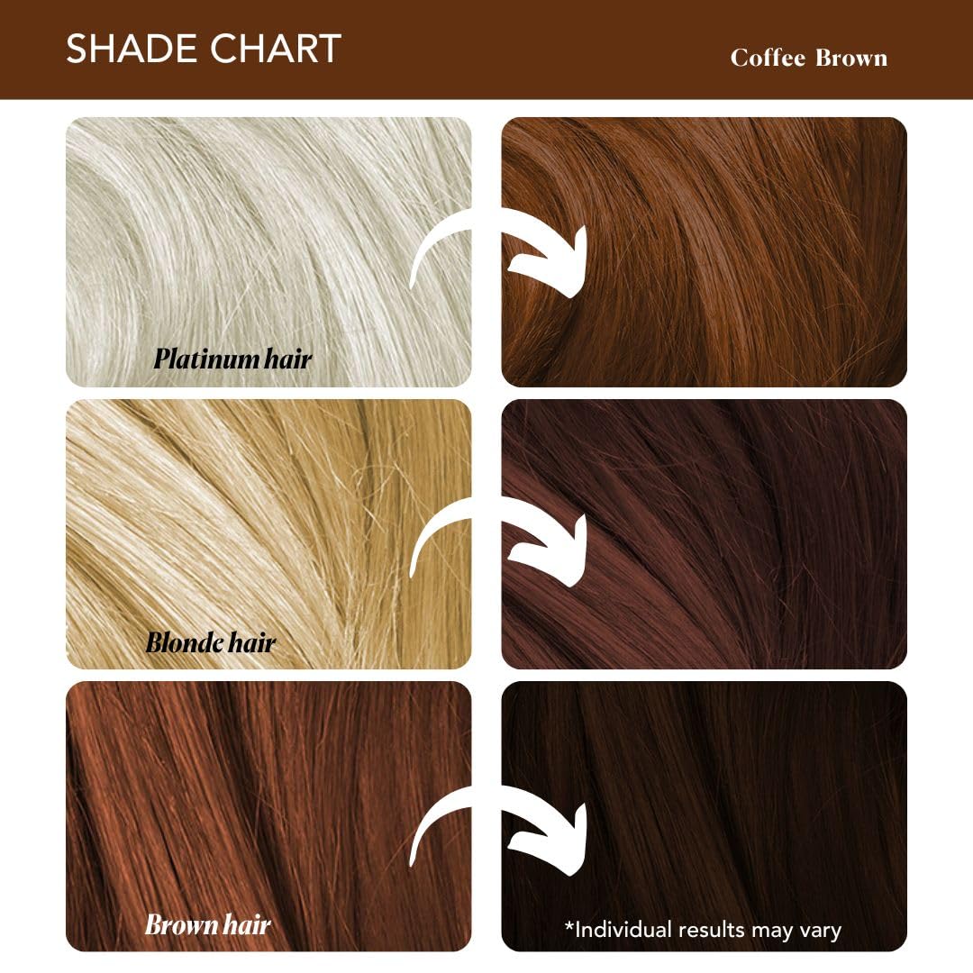 Paradyes Coffee Brown Semi Permanent Conditioner Based Hair Color Dye, Vegan and