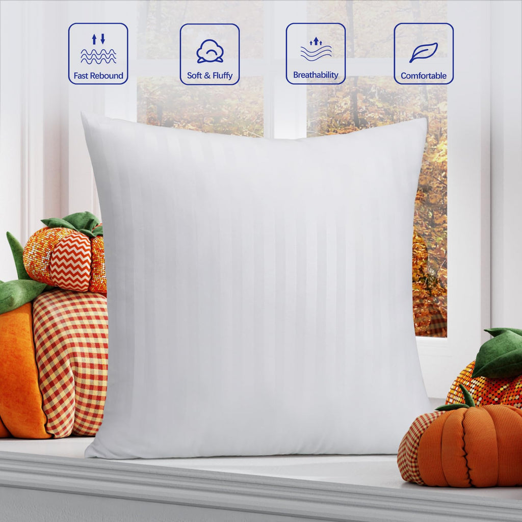 OKBA Set of 2 Throw Pillow Inserts 16x16 Soft Hypoallergenic Cushion Fillers