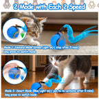 Interactive Cat Toy Ball - Speedy Cat Toys for Indoor Cats with Feather Tails