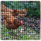Plastic Mesh Fencing Safety Fence, Poultry Netting, with 50 Zip Ties, Reusable