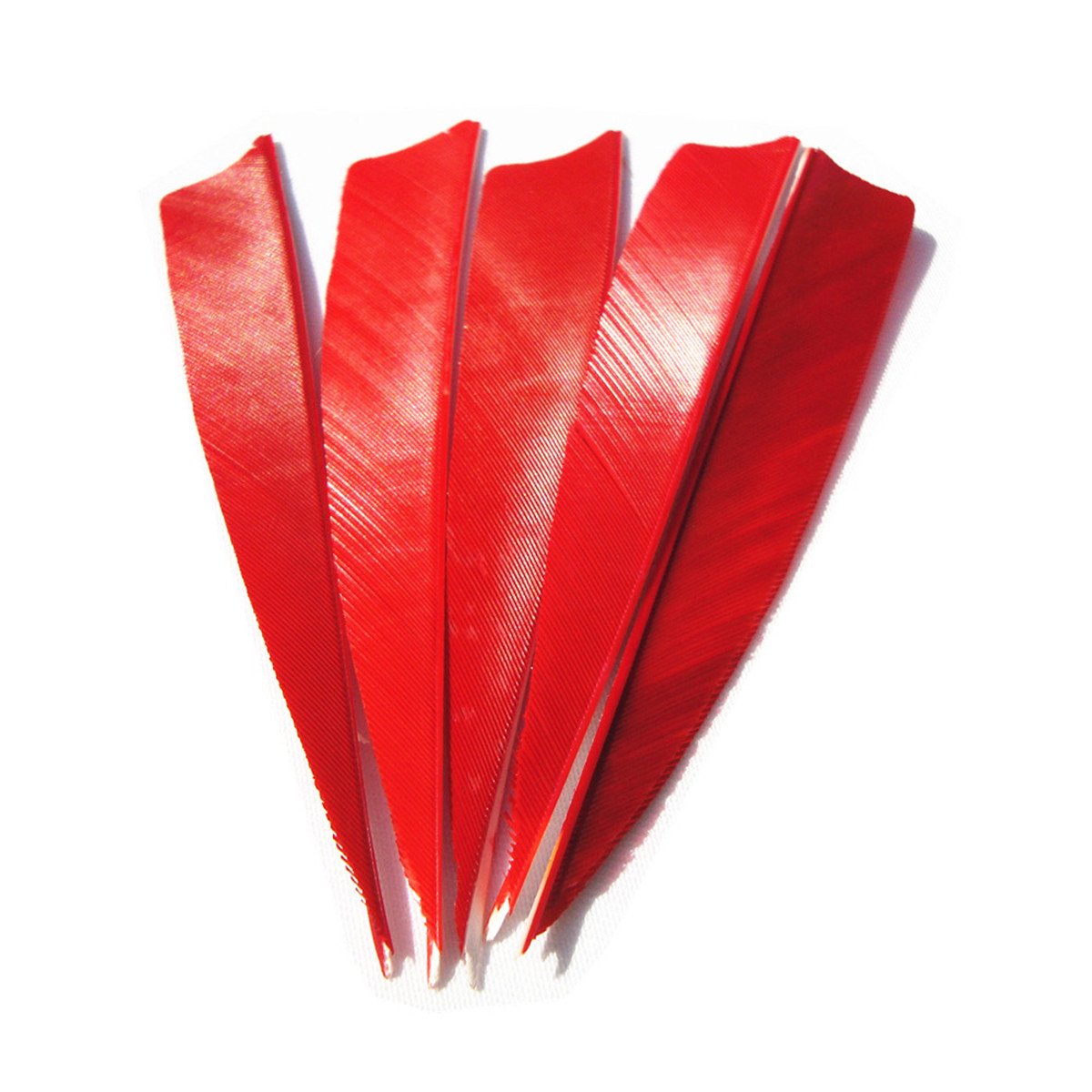 Letszhu Archery Arrows Feather Fletching 4 Inch Real Turkey Vanes for Hunting
