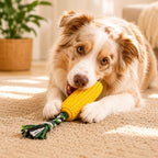 Carllg Dog Chew Toys for Aggressive Chewers, Indestructible Tough Durable