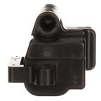 Delphi GN10298 Ignition Coil