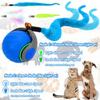 Interactive Cat Toy Ball - Speedy Cat Toys for Indoor Cats with Feather Tails