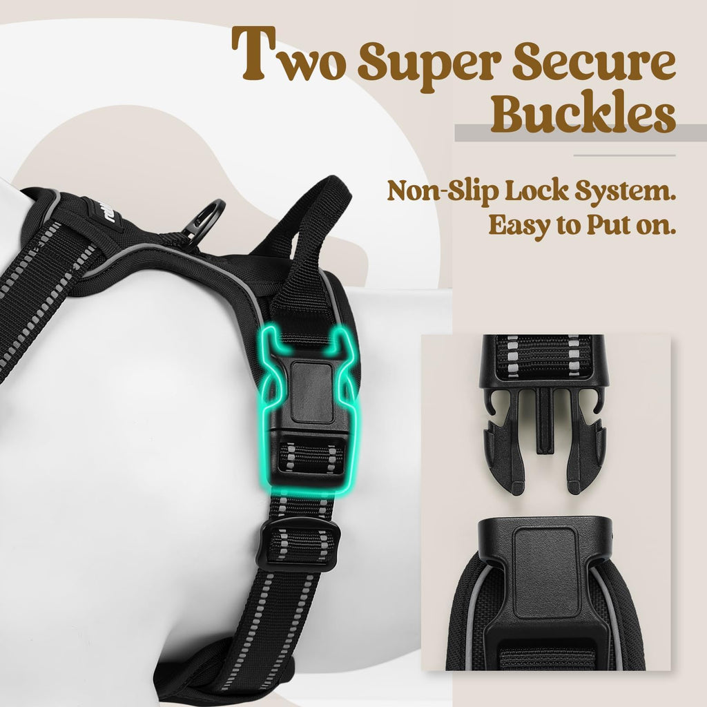 Size XS rabbitgoo Dog Harness No Pull Small Dogs 2 Leash Clips Black