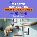 Cat Wall Shelves Set of 4 Walnut Floating Curved Bed Steps Indoor Wall Mounted