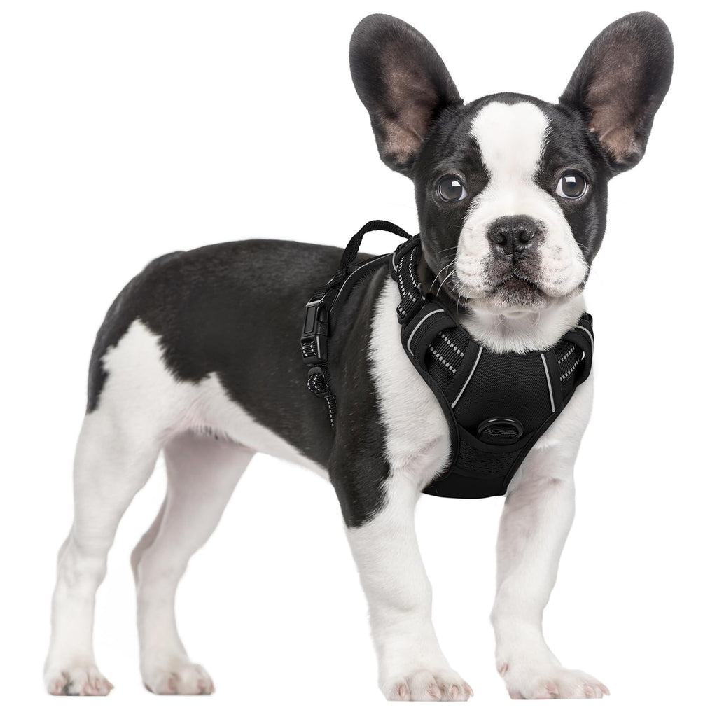 Size XS rabbitgoo Dog Harness No Pull Small Dogs 2 Leash Clips Black