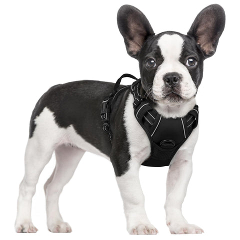 Size XS rabbitgoo Dog Harness No Pull Small Dogs 2 Leash Clips Black