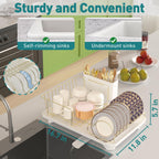 Buruis Gold Stainless Steel Dish Drying Rack Large Kitchen Countertop Organizer