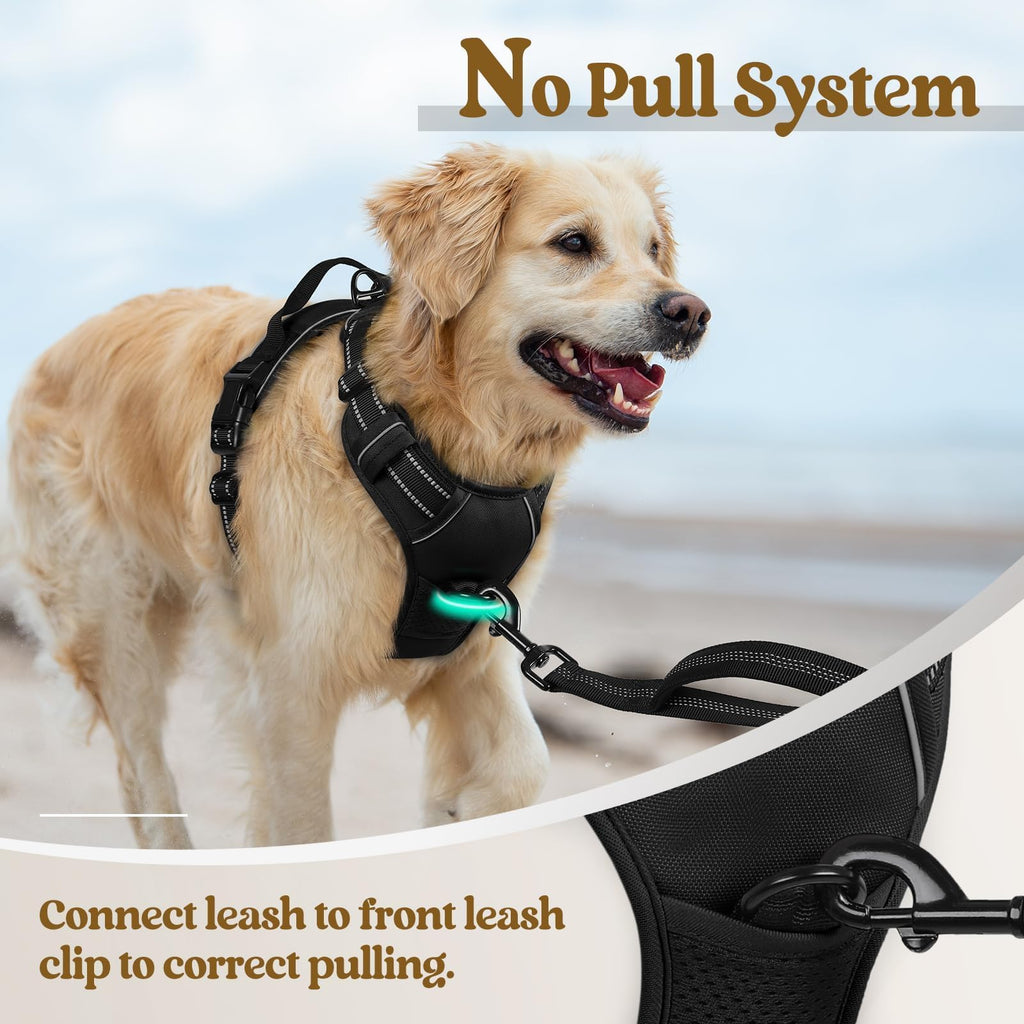 Size XS rabbitgoo Dog Harness No Pull Small Dogs 2 Leash Clips Black