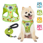 BEAUTYZOO Step in Dog Harness and Leash Set,Reflective Dog Harness No Pull No