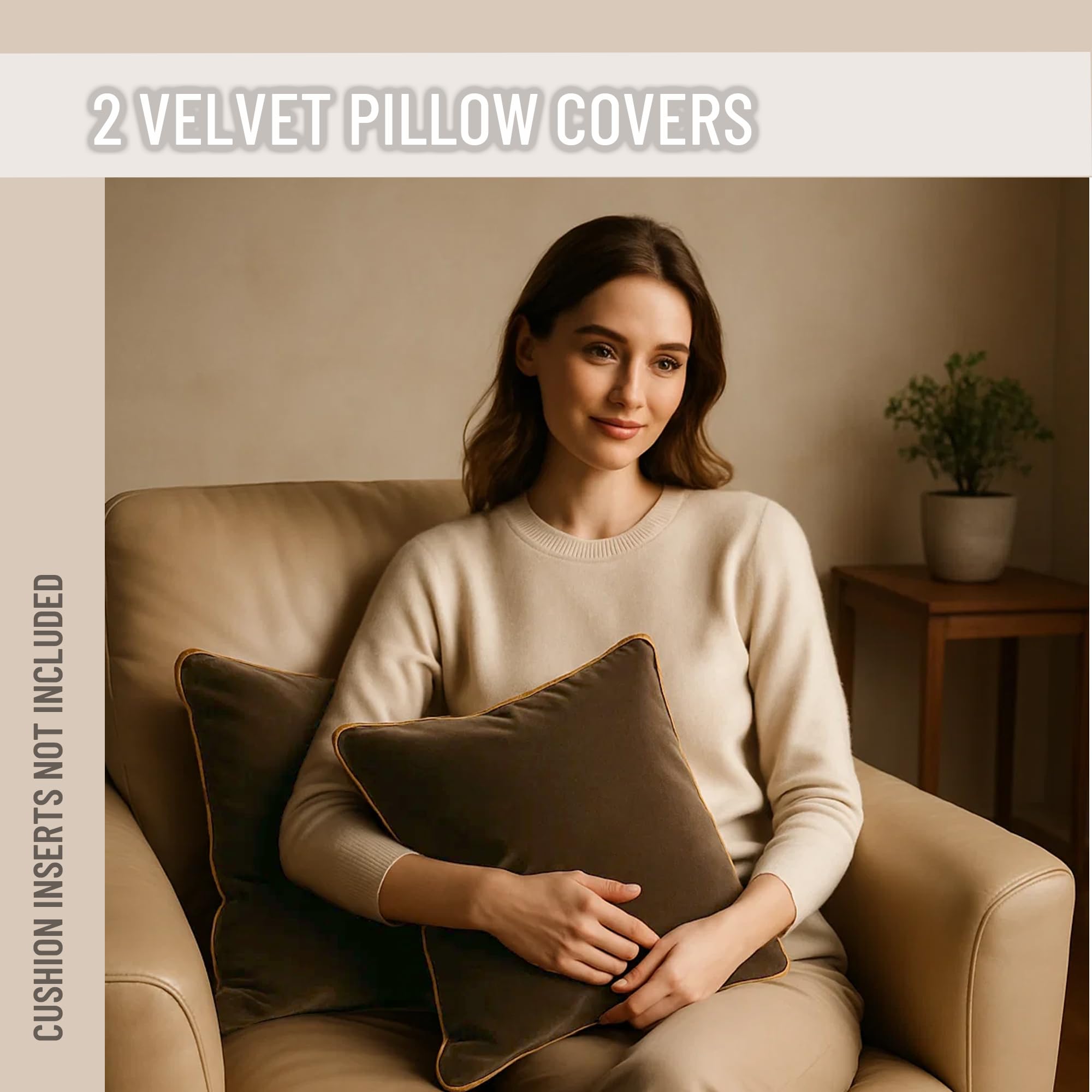 Blau Marité 2 Pack Velvet Decorative Throw Pillow Covers, 20"x20", Brown and