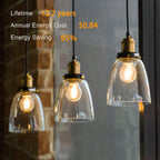 TJOY 12 Pack A19 Vintage LED Edison Bulbs, Dimmable, 60W Equivalent, High