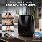 Everlasting Comfort 6L Humidifier Quiet 50HR No Filter Cool Mist Black