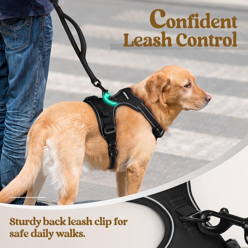 Size XS rabbitgoo Dog Harness No Pull Small Dogs 2 Leash Clips Black