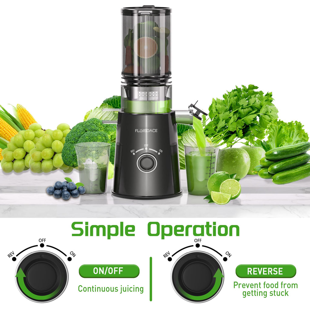 Cold Press Juicer Slow Masticating 5" Wide Chute 1.5L Stainless Steel Black