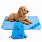 INSPECTOR TAIL Dog Cooling Mat - No Freeze Needed, Self-Cooling Pad for Medium Dogs, Washable Portable for Crate Kennel Car Sofa Bed Floor, Indoor Outdoor Summer Use, 28"x22" with Carry Bag