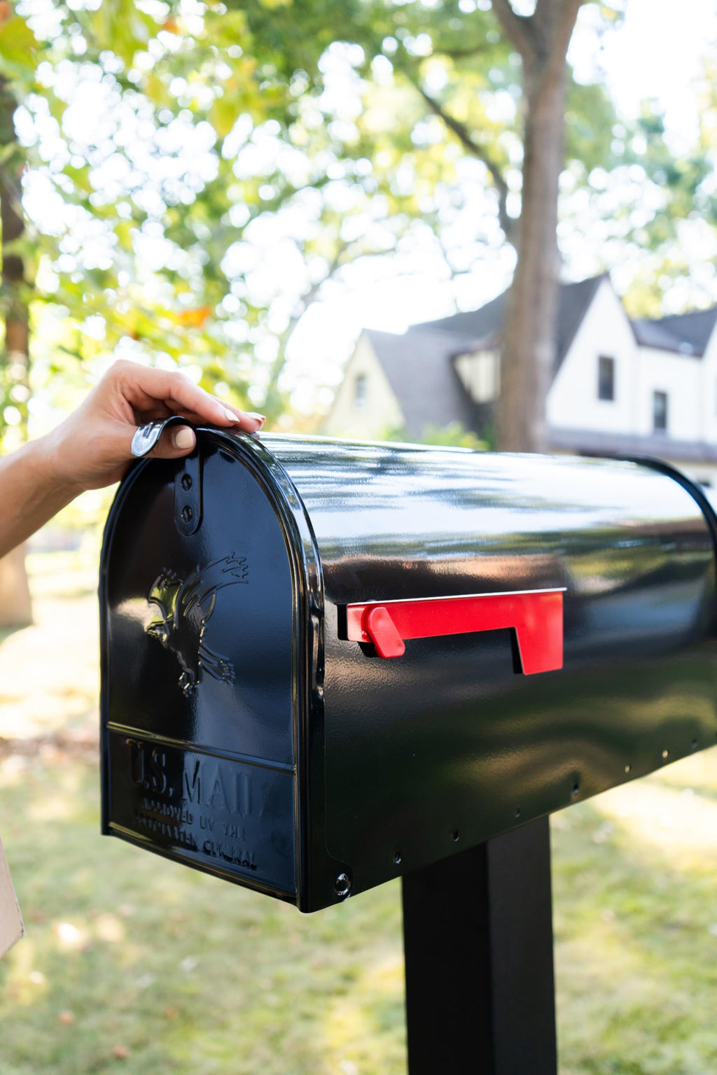 Architectural Mailboxes Elite Post Mount Mailbox Black Large