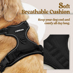 Size XS rabbitgoo Dog Harness No Pull Small Dogs 2 Leash Clips Black
