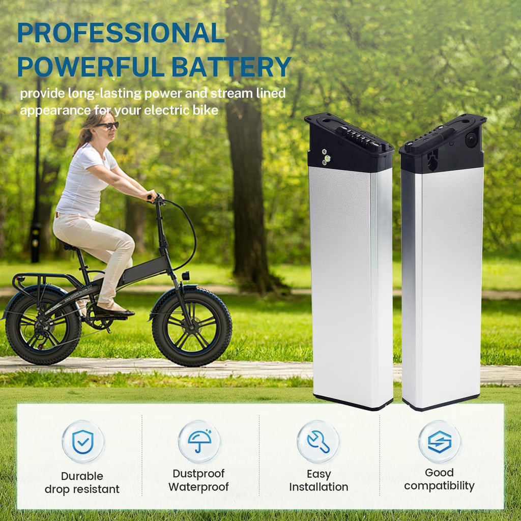 Xiseny Ebike Battery Silver Fish 48V 13Ah/15Ah/, Electric Bike, Electric Bicycle