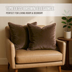 Blau Marité 2 Pack Velvet Decorative Throw Pillow Covers, 20"x20", Brown and