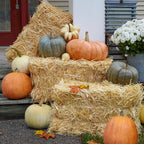FloraCraft Decorative Straw Bale 9.5 Inch x 12 Inch x 24 Inch Natural