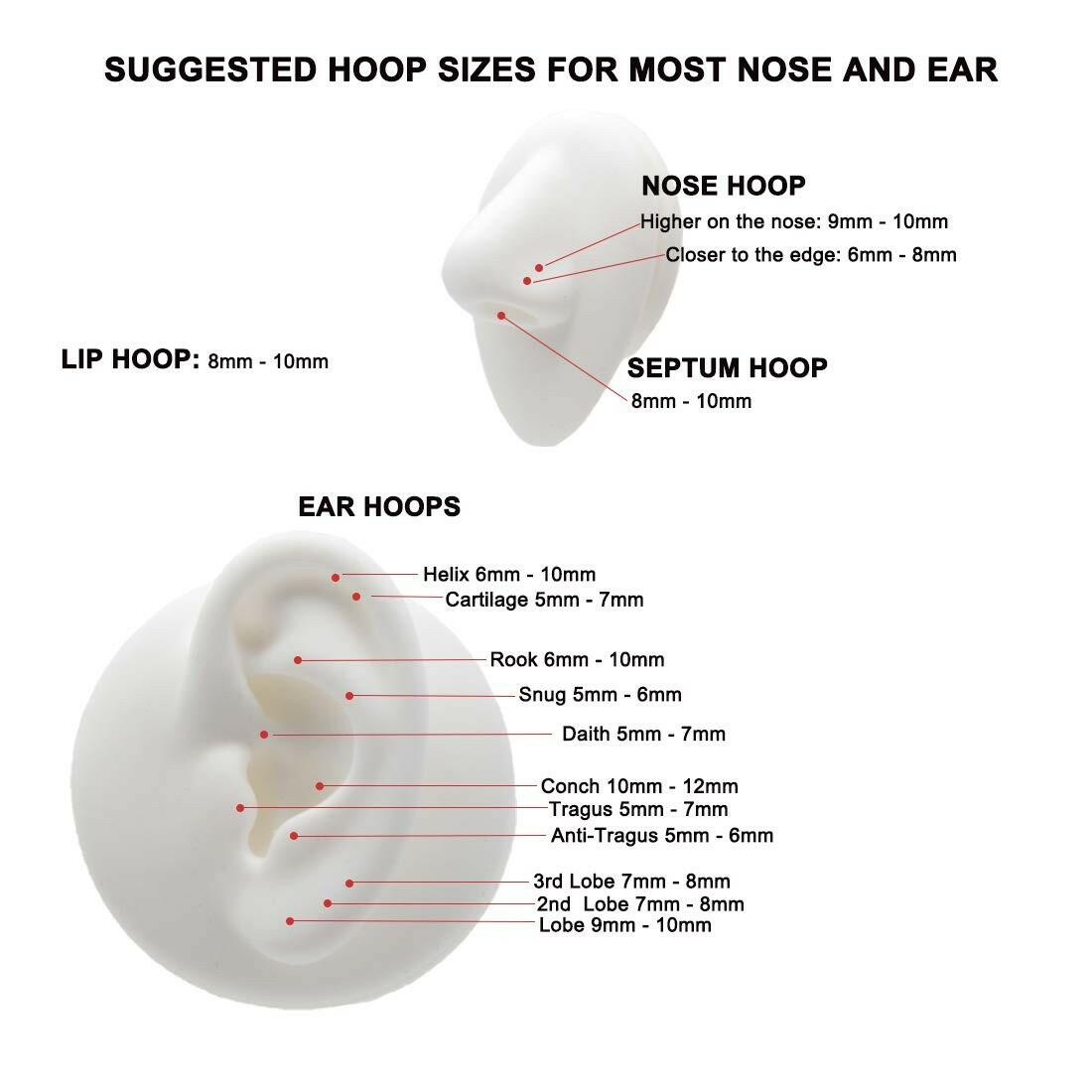 FANSING 16g 6mm Nose Hoop 16 Gauge Hinged Seamless Piercing Jewelry Ring for