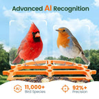 PawPeri Bird Feeder with Camera 2.5K HD Live Video, AI Bird Identifier, 5MP