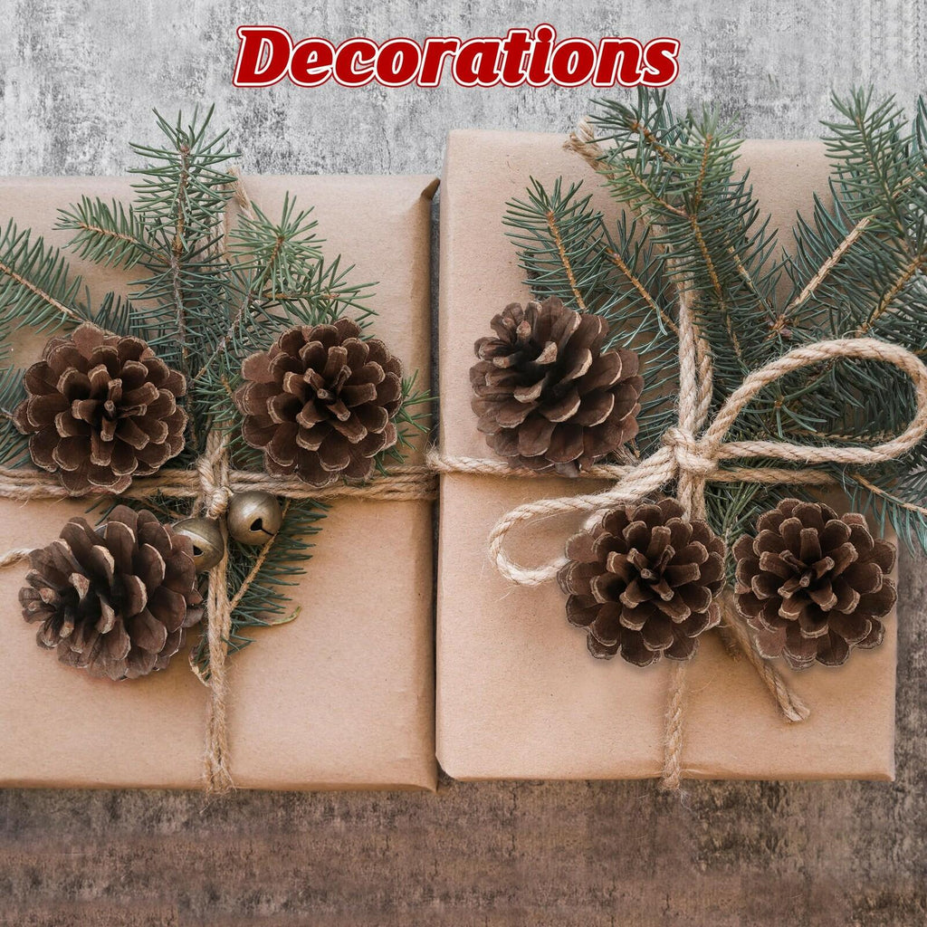 24 PCS Natural Pine Cones, 1.96 in Pinecone Ornaments, Rustic Pine Cones for
