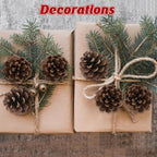24 PCS Natural Pine Cones, 1.96 in Pinecone Ornaments, Rustic Pine Cones for