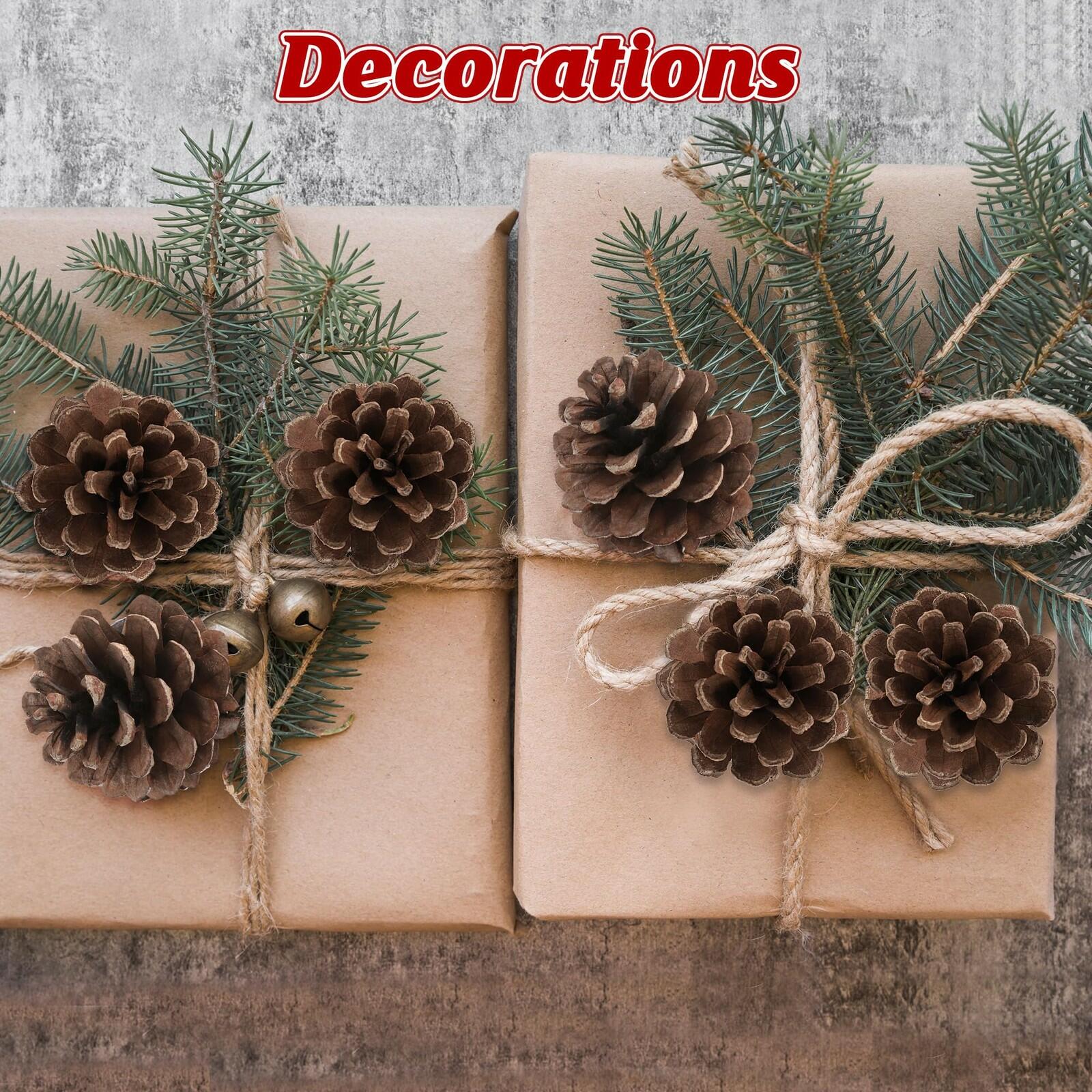 24 PCS Natural Pine Cones, 1.96 in Pinecone Ornaments, Rustic Pine Cones for