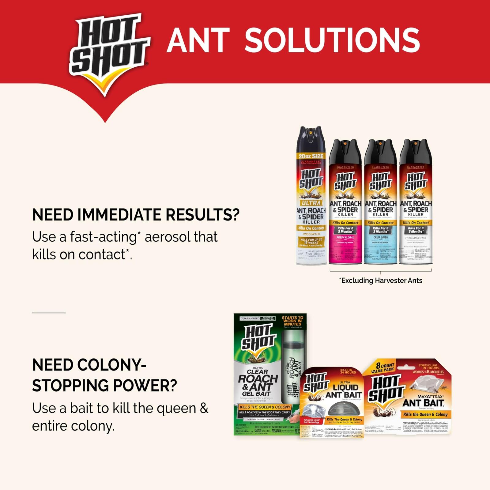 8 Count Hot Shot Ant Bait, Kills the Queen and Colony, Works for 6 months, Pack